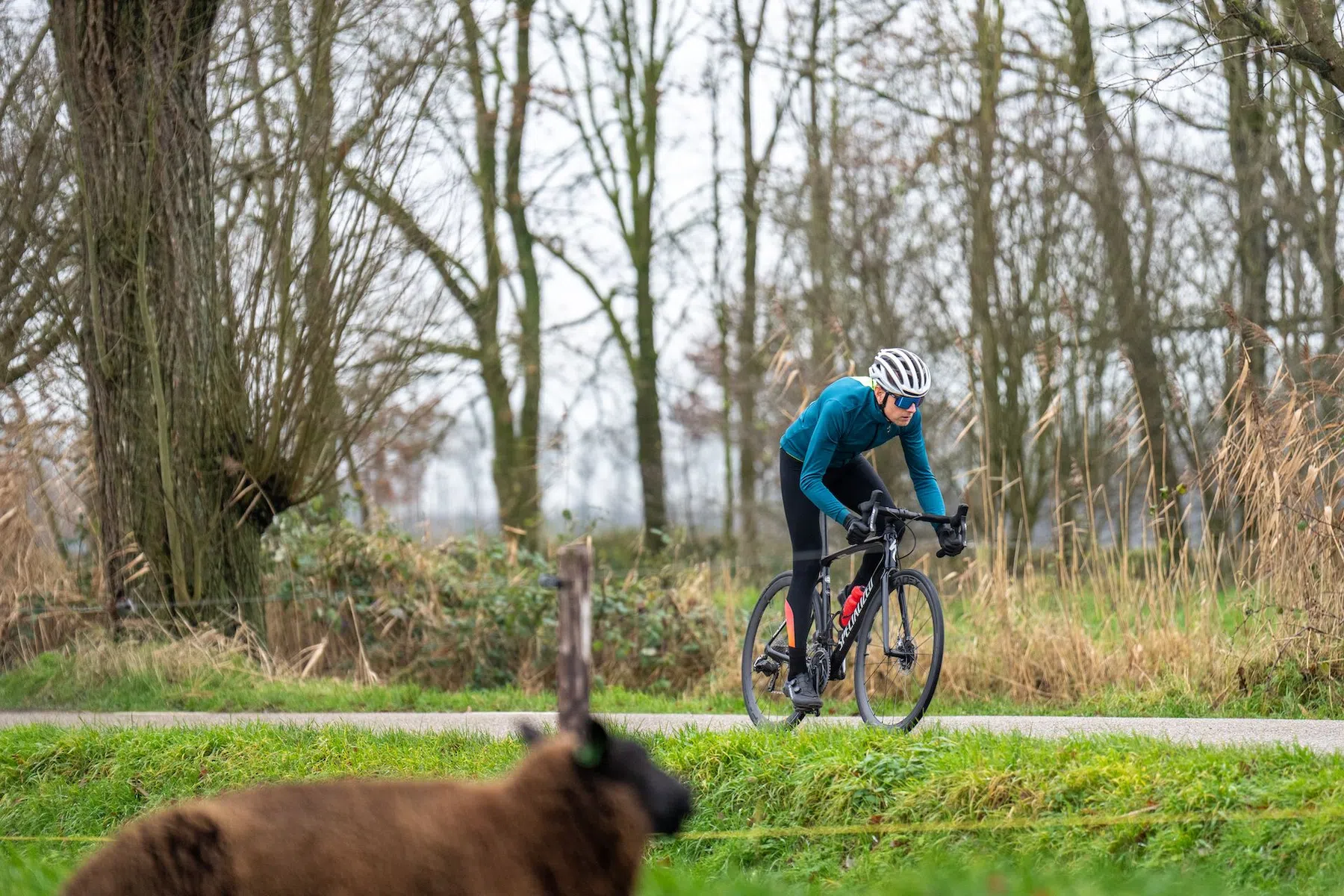 2021-12-15 Gijs Ferkranus _ TRLS - Bicycling Winterkleding Shoot Leersum-00623.jpg