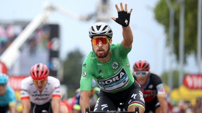 sagan-social-663x371.jpg