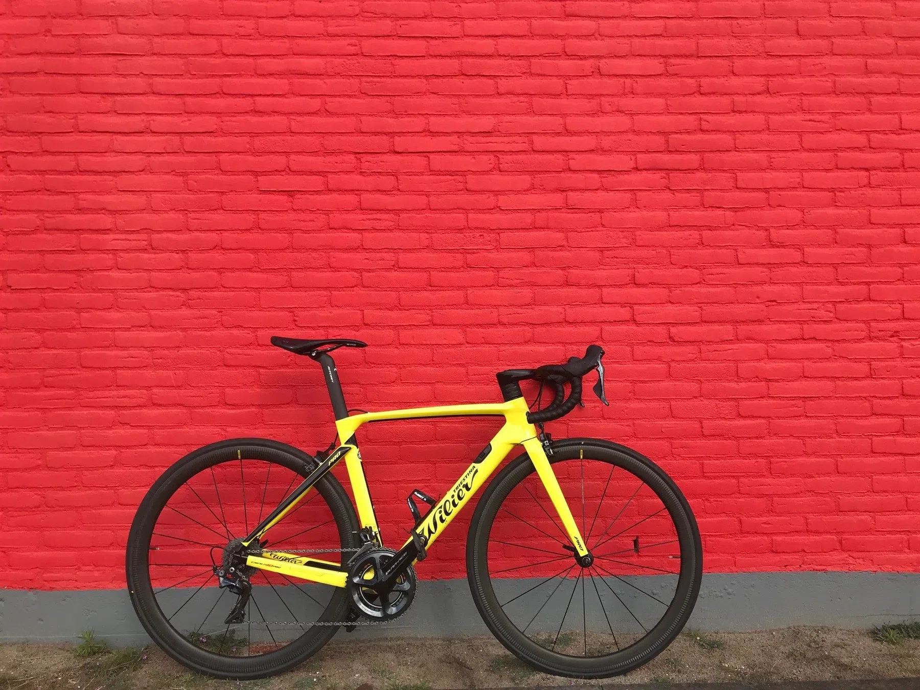wilier2.jpg