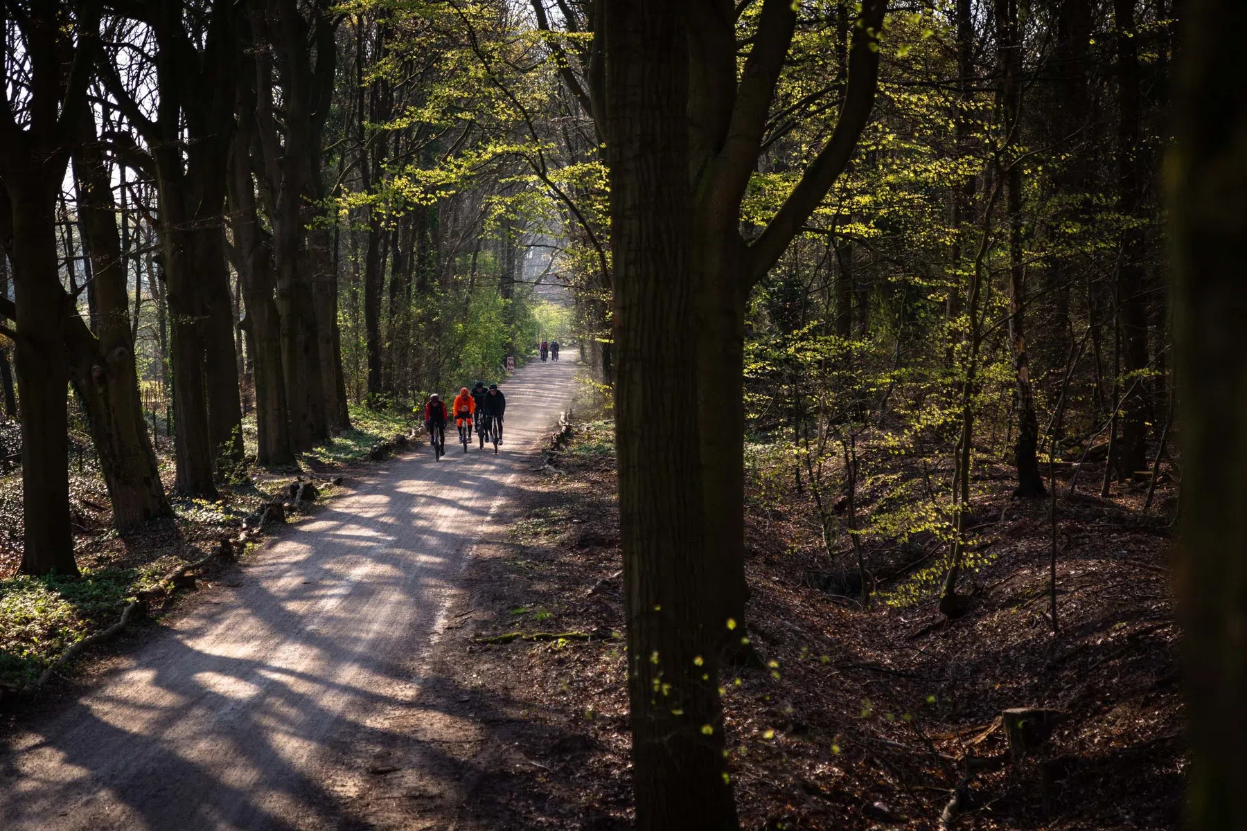 Backroads1-Credits-@maas.rides-393A8603.jpg