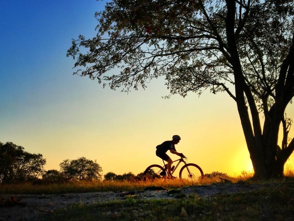 mtb 5.jpg