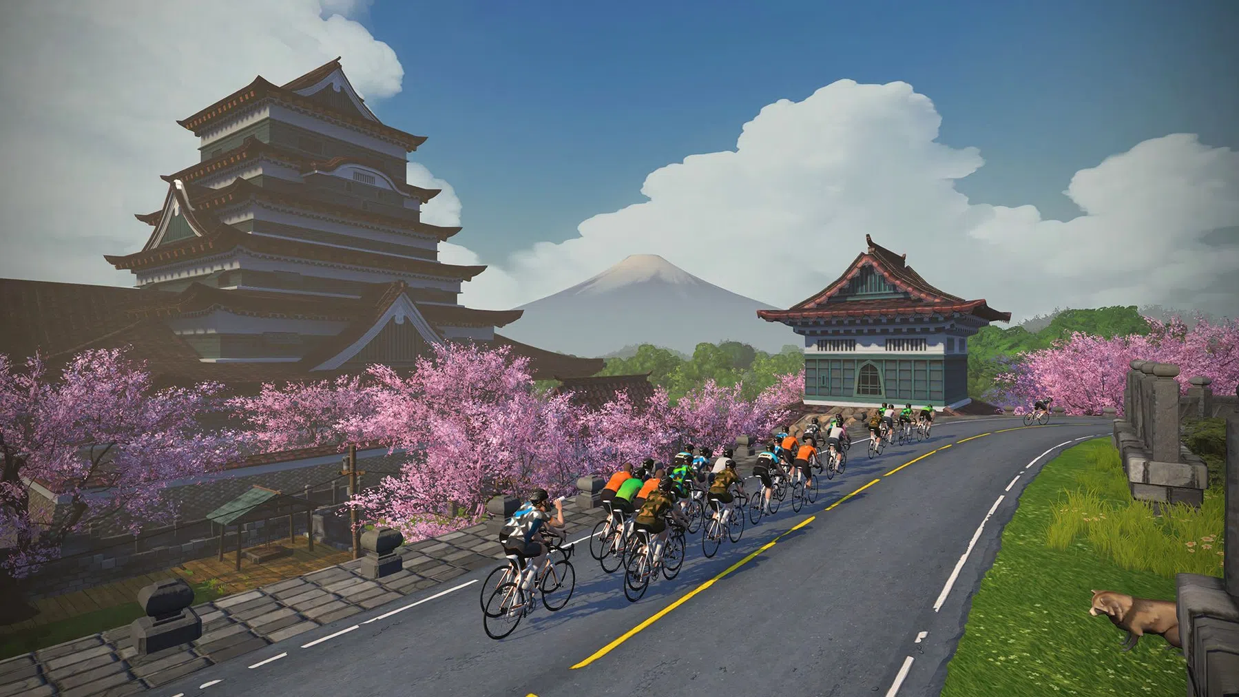 391292-yumezi_pr_RIDE_01-b01081-original-1621328820.jpg