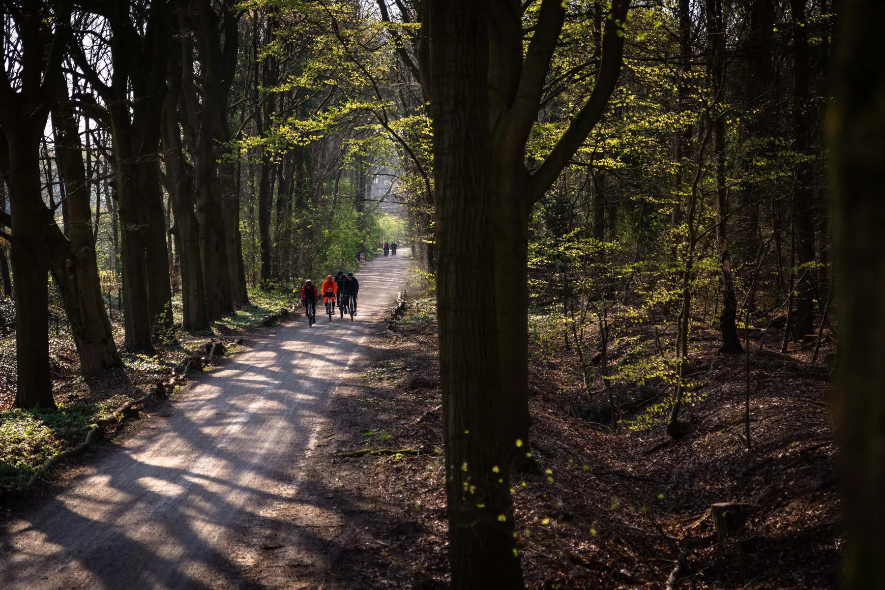 Backroads1-Credits-@maas.rides-393A8603.jpg