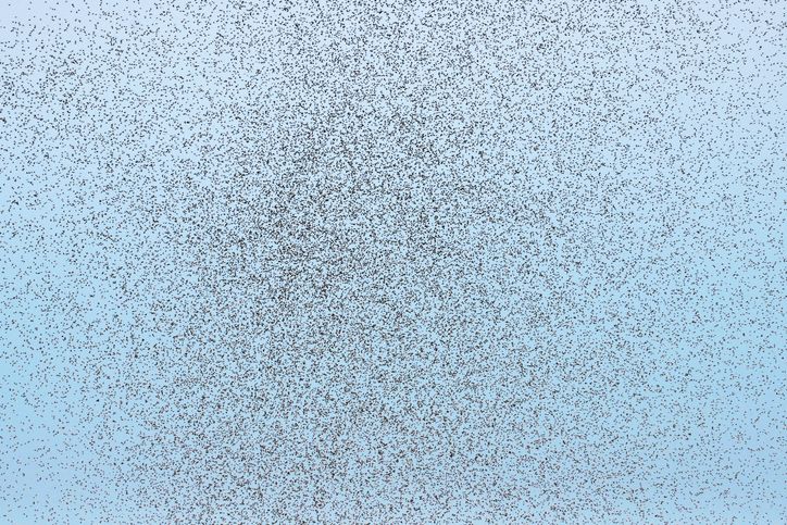 gettyimages-858780464