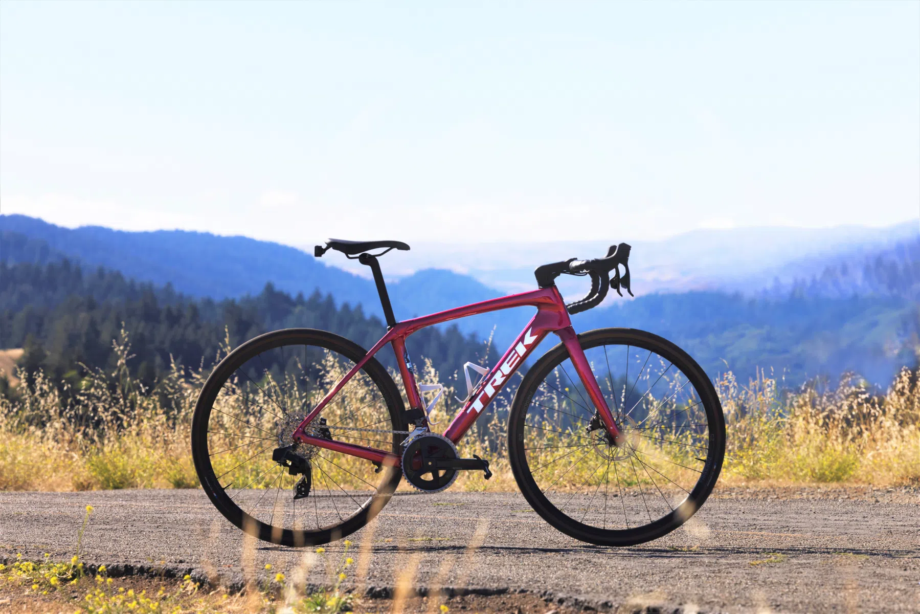 Trek_Domane_2023.png
