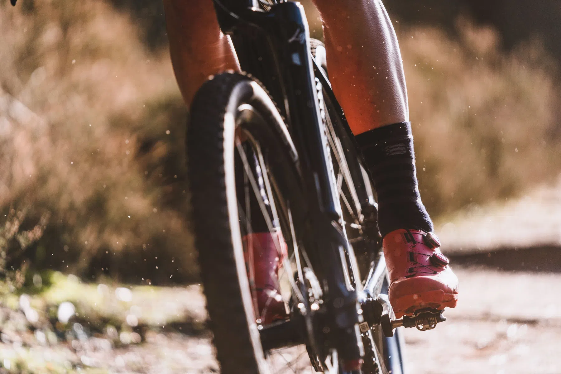 Bicycling_Online_Training (48).jpg