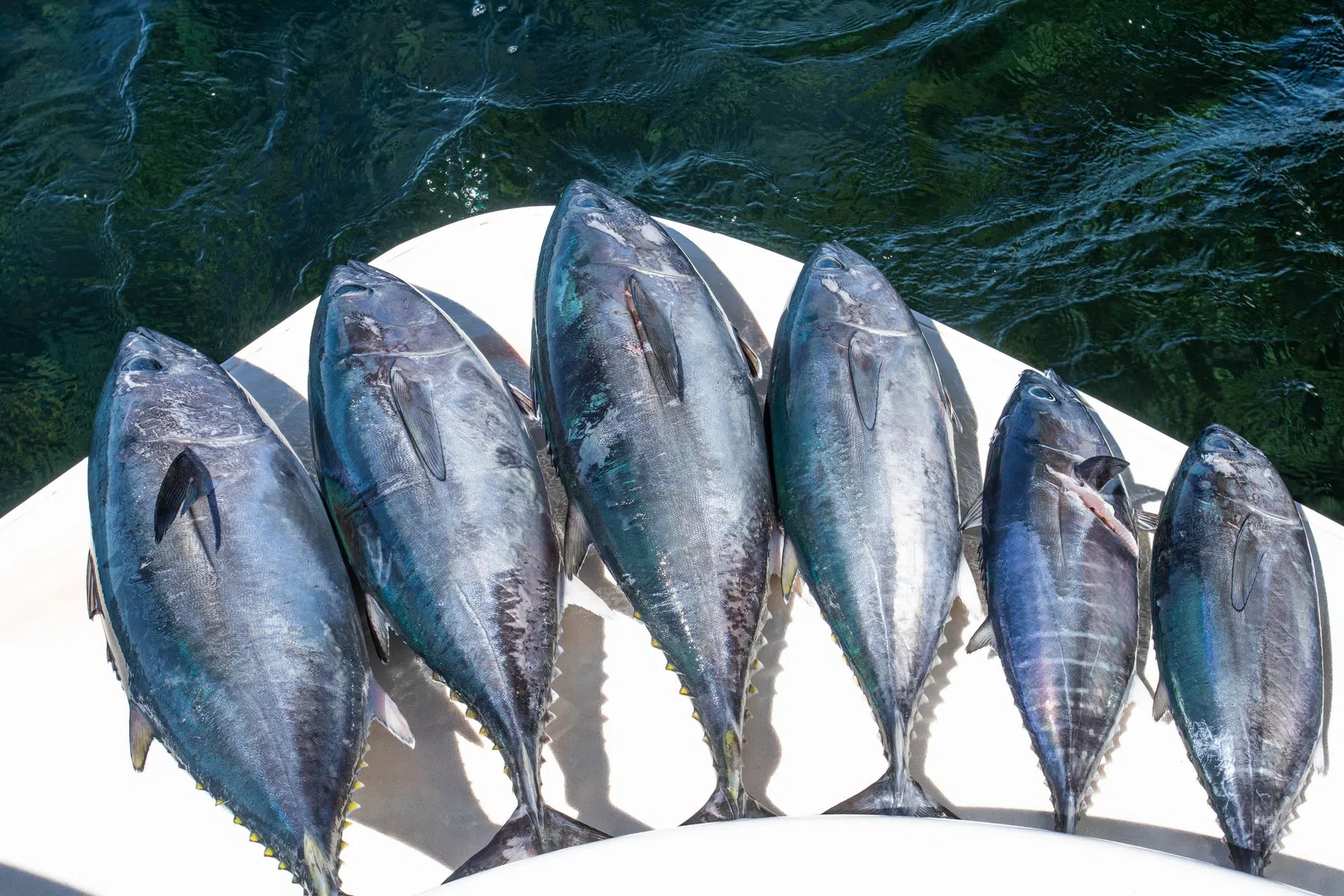 gettyimages-1701549601