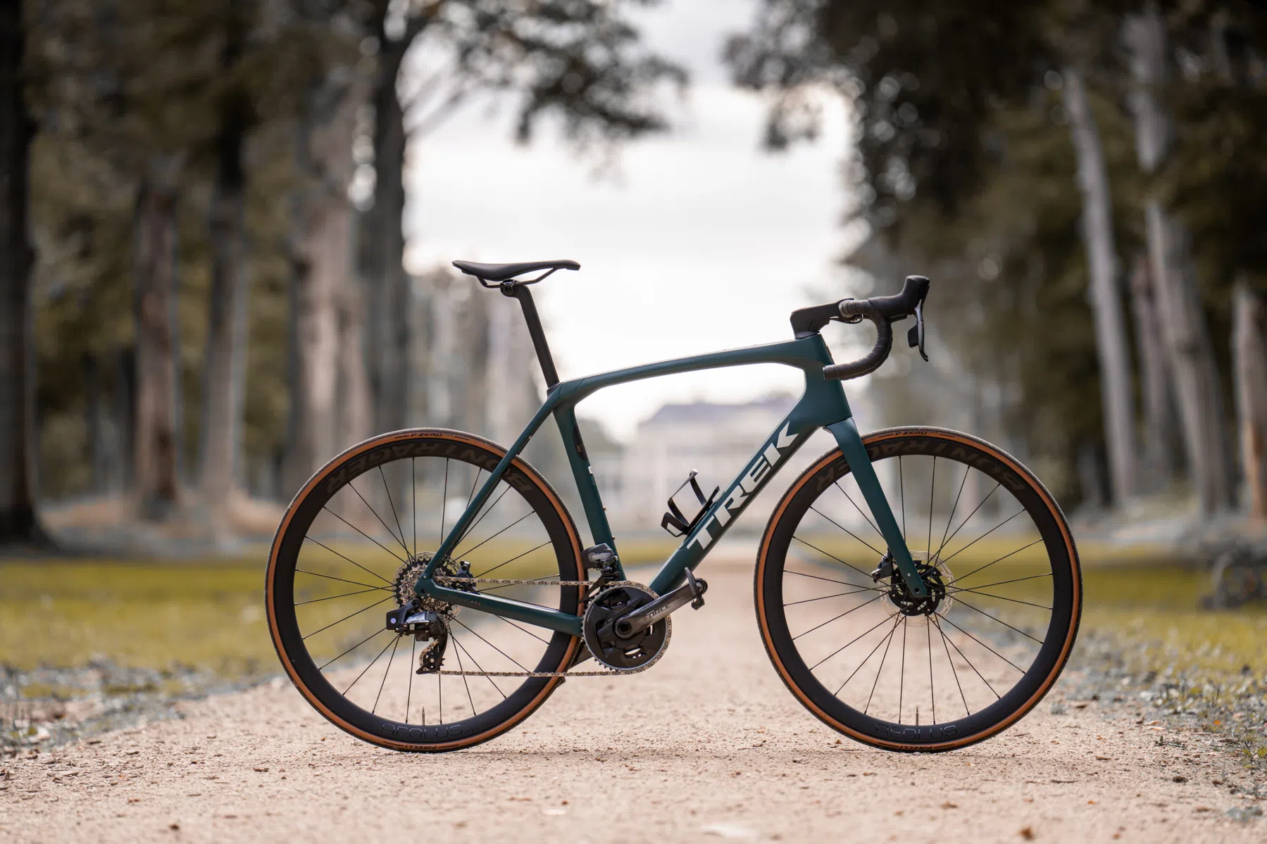 Trek Domane 2023.png