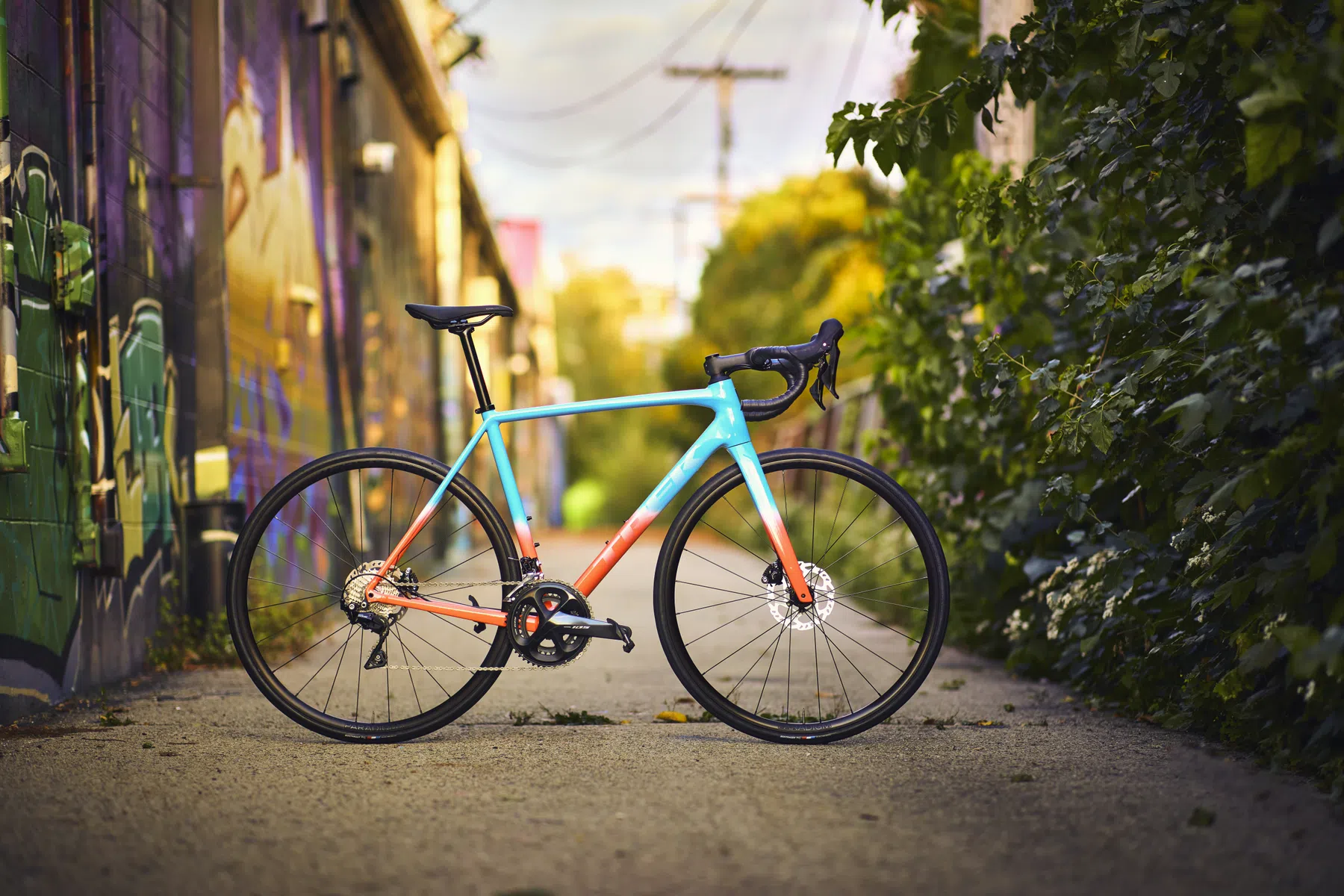 Trek_Emonda_ALR_2023.png