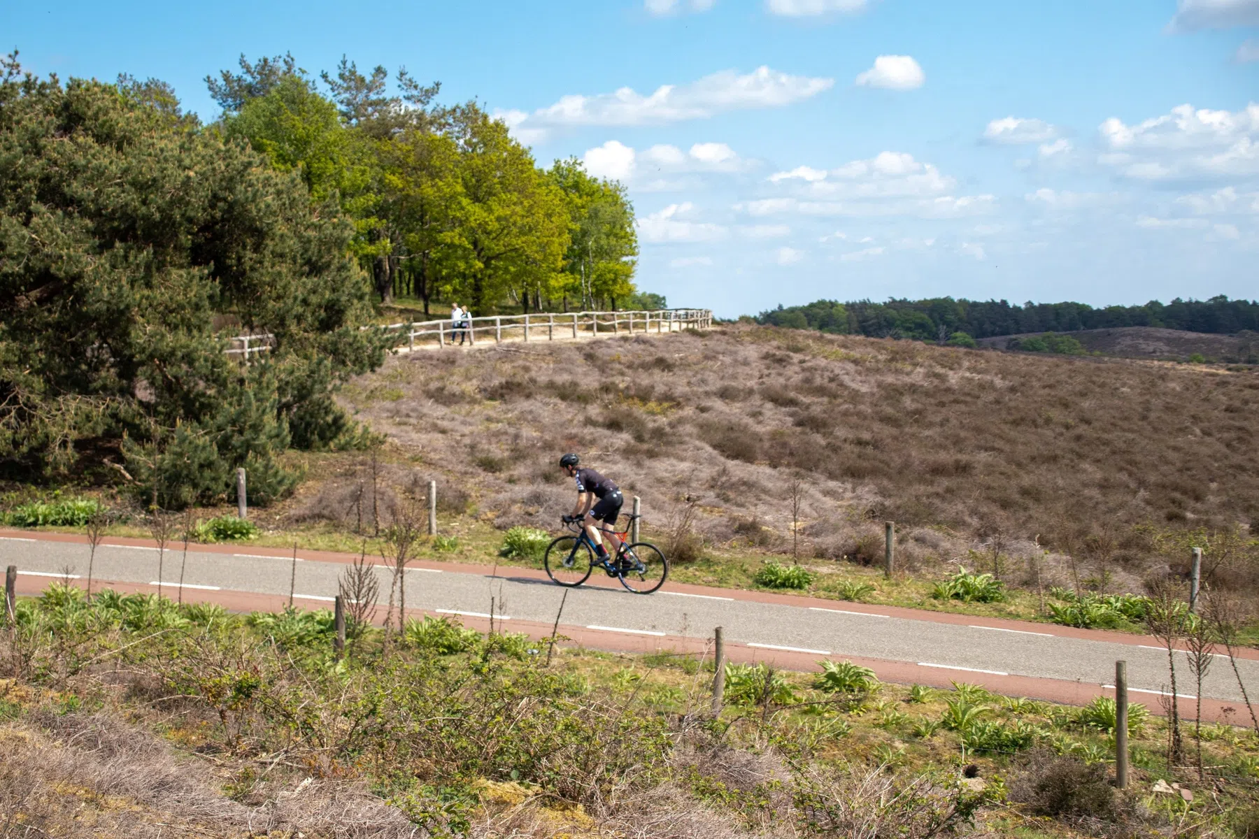 Algemeen_beeld_Lapierre (18).jpg