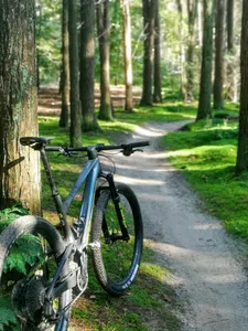 Thumbnail for article: Welke bandenspanning gebruik je voor je mountainbike?