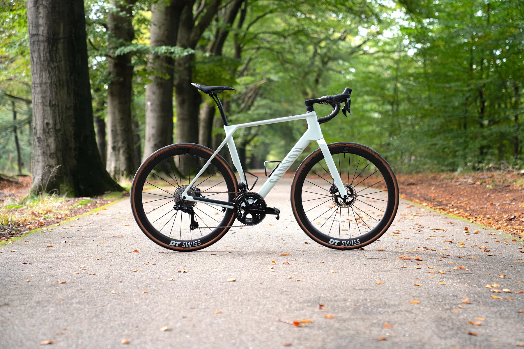 Canyon endurace.jpg