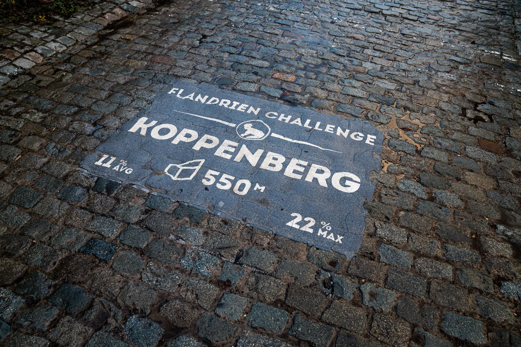 Koppenberg - MichielMaas_BicyclingVlaanderen-09599.jpg
