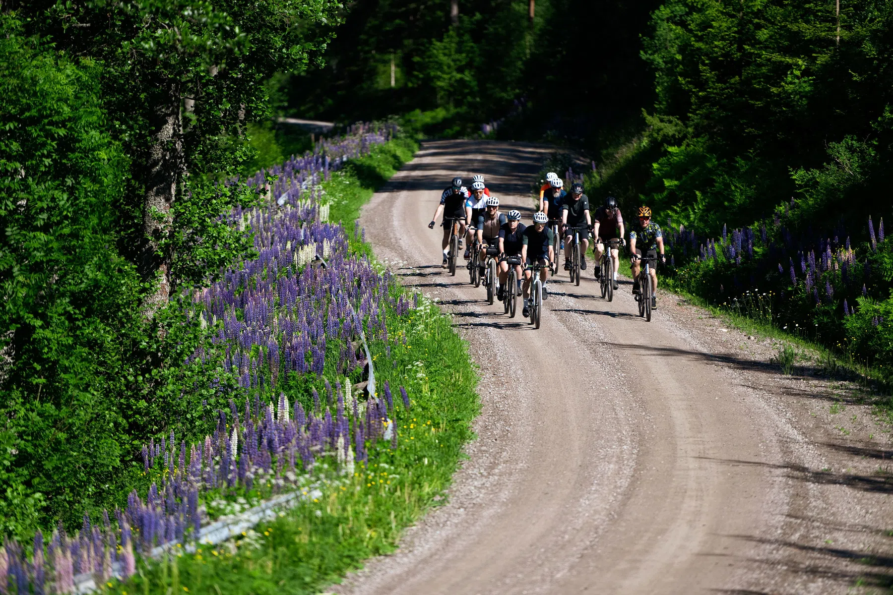 Eindeloos gravelen in Dalsland (Zweden)