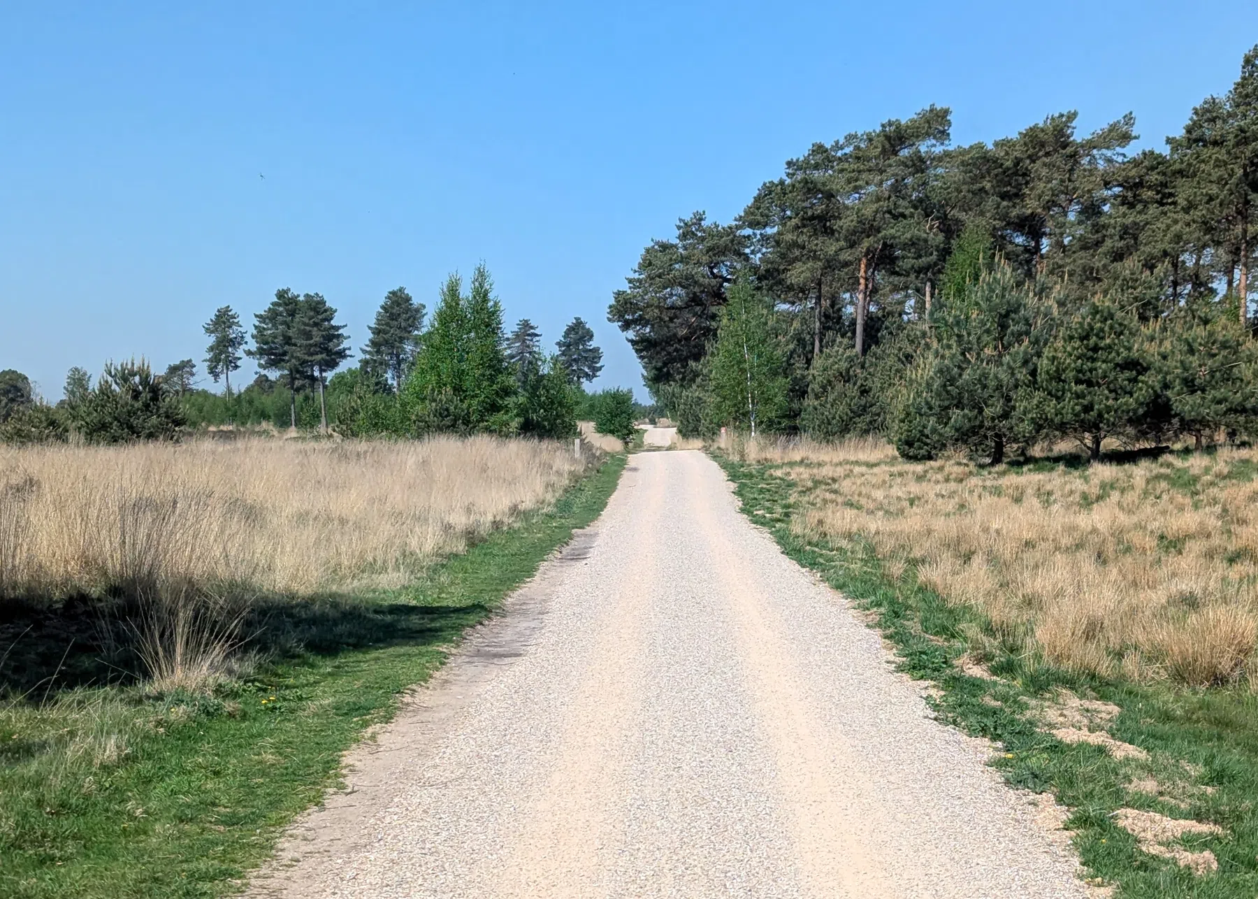 Sander Jansen