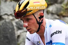 Thumbnail for article: Dit zijn de grootste slachtoffers van de Tour de France 2025