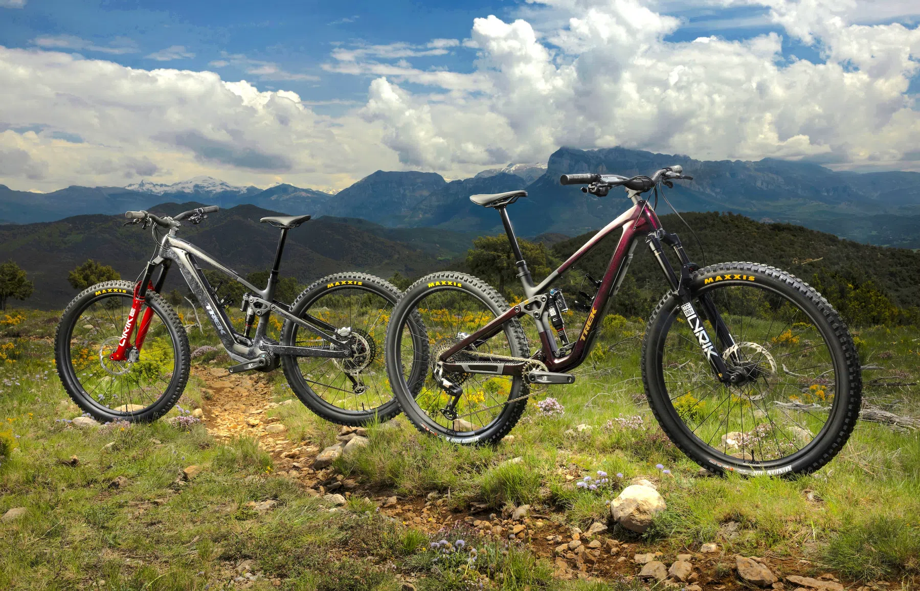 Trek Bikes