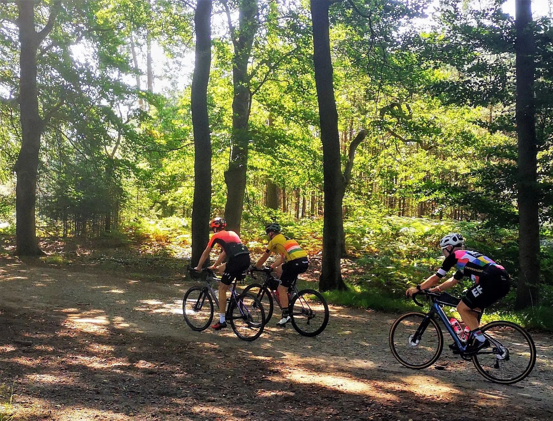 De drie mooiste gravelroutes van Nederland