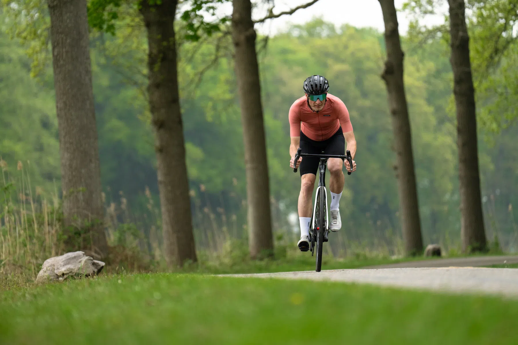 Wandelaars en fietsers, een giftige combinatie?