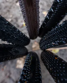 Thumbnail for article: De beste tools om je bandendruk te berekenen – race en gravel