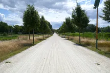 Thumbnail for article: Alles over het WK Gravel 2025
