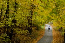 Thumbnail for article: 6 tips om je fiets klaar te maken voor de herfst - zo blijf je veilig doorfietsen