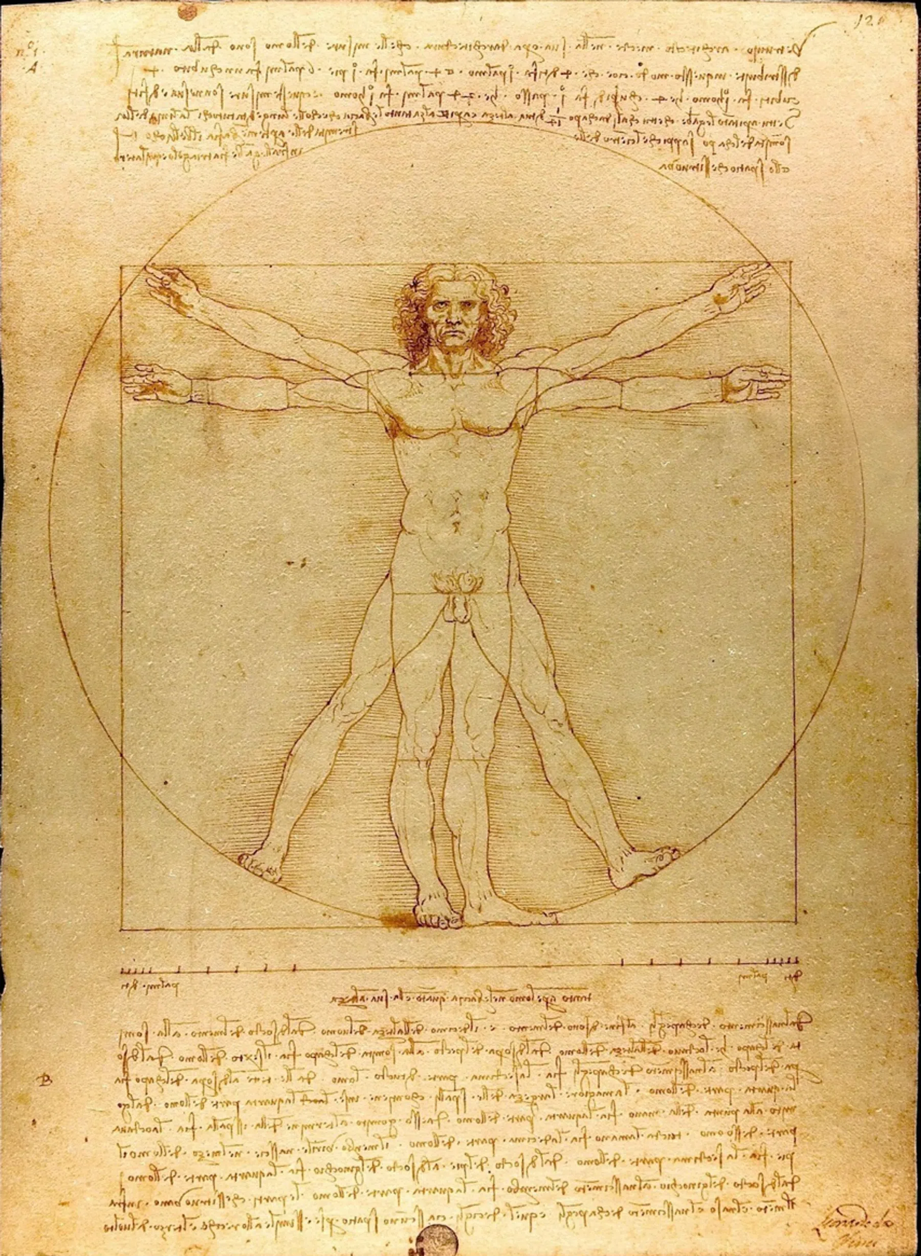 De middelvinger van Leonardo – Een simpele truc voor een perfecte fietsafstelling