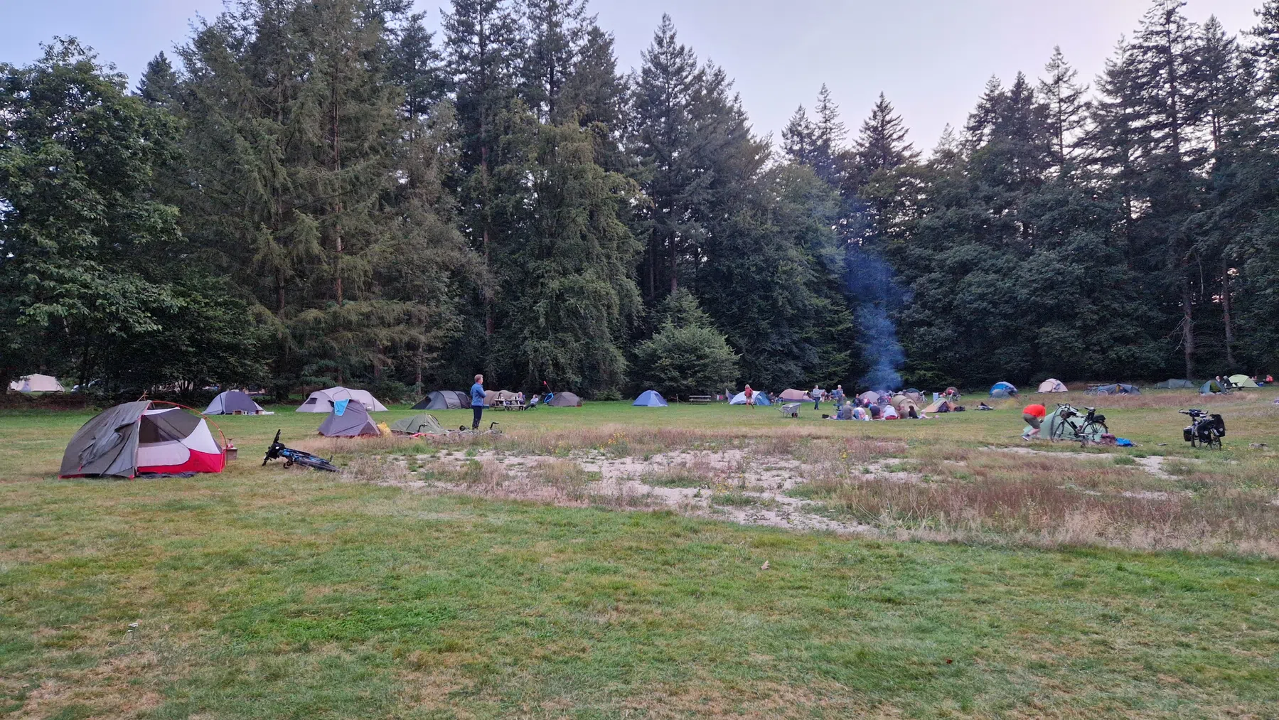 Matthijs van den Broek