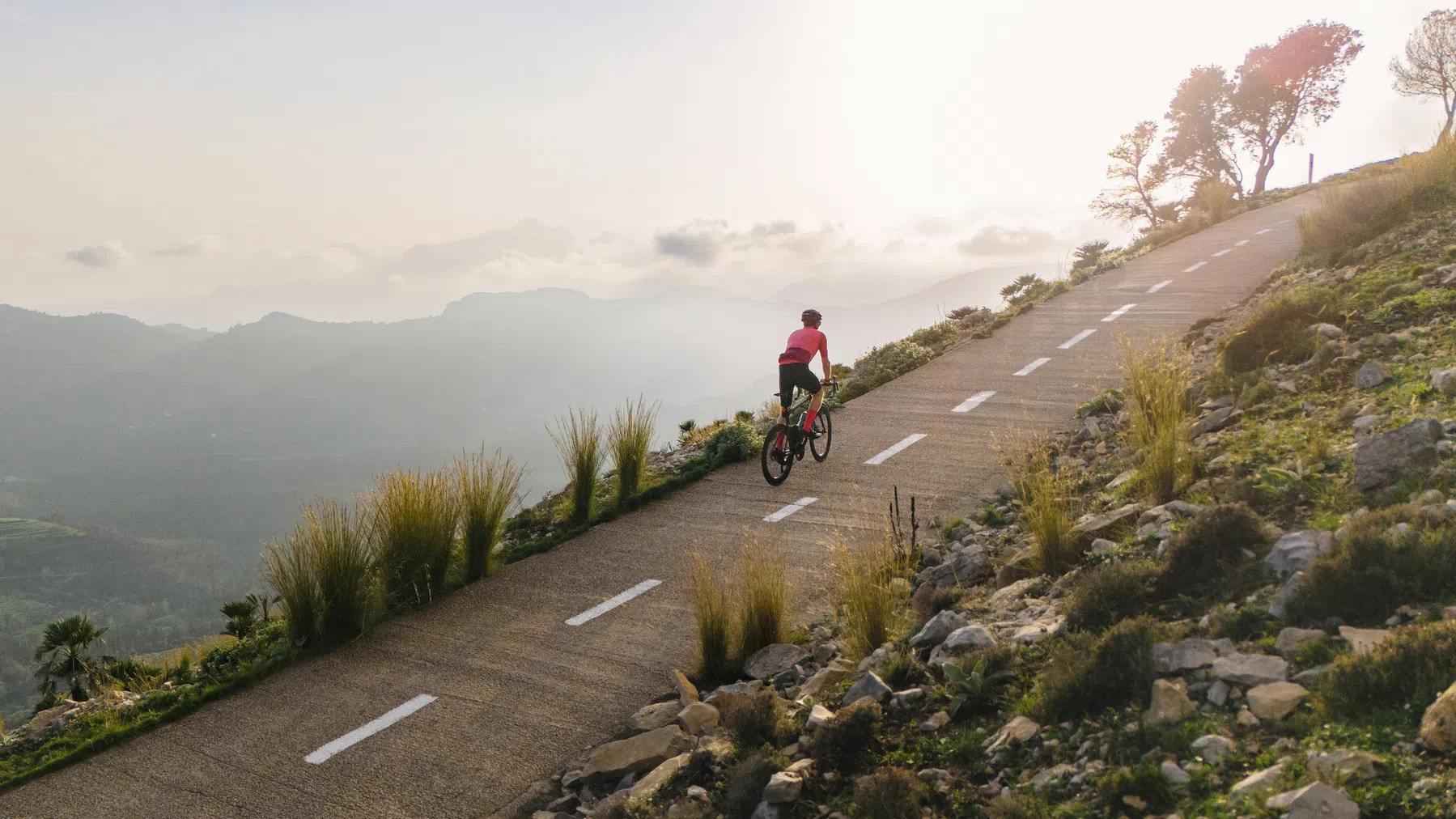 5 mythes over je immuunsysteem: hoe blijf je echt gezond?