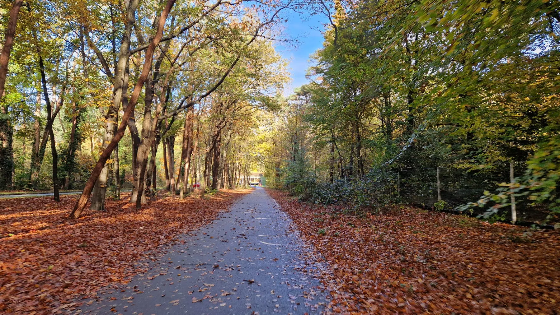 Matthijs van den Broek
