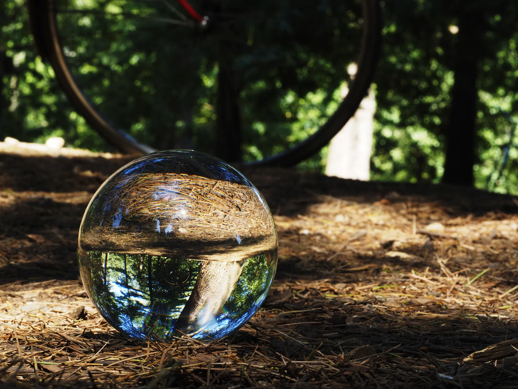 Ockeloen Ten Dam en Havik over de gravelrace van morgen