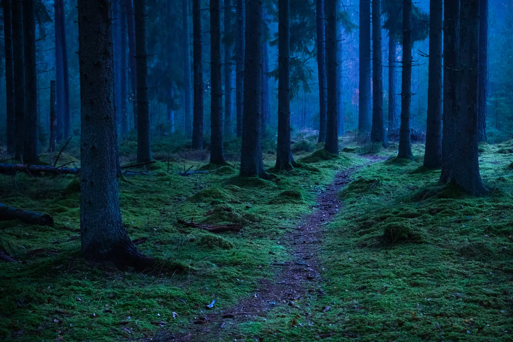 Mag je overal zomaar fietsen in het donker?