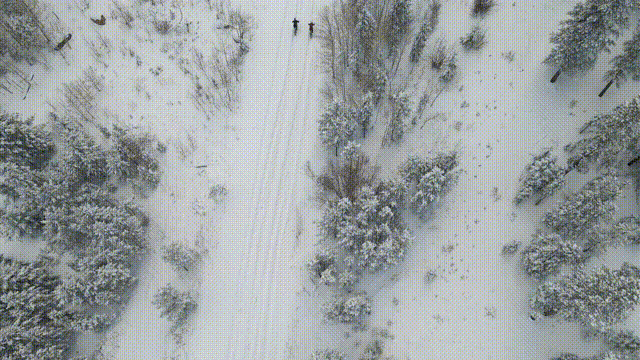 Thumbnail for article: Waarom mountainbiken in de sneeuw het mooiste is wat er is