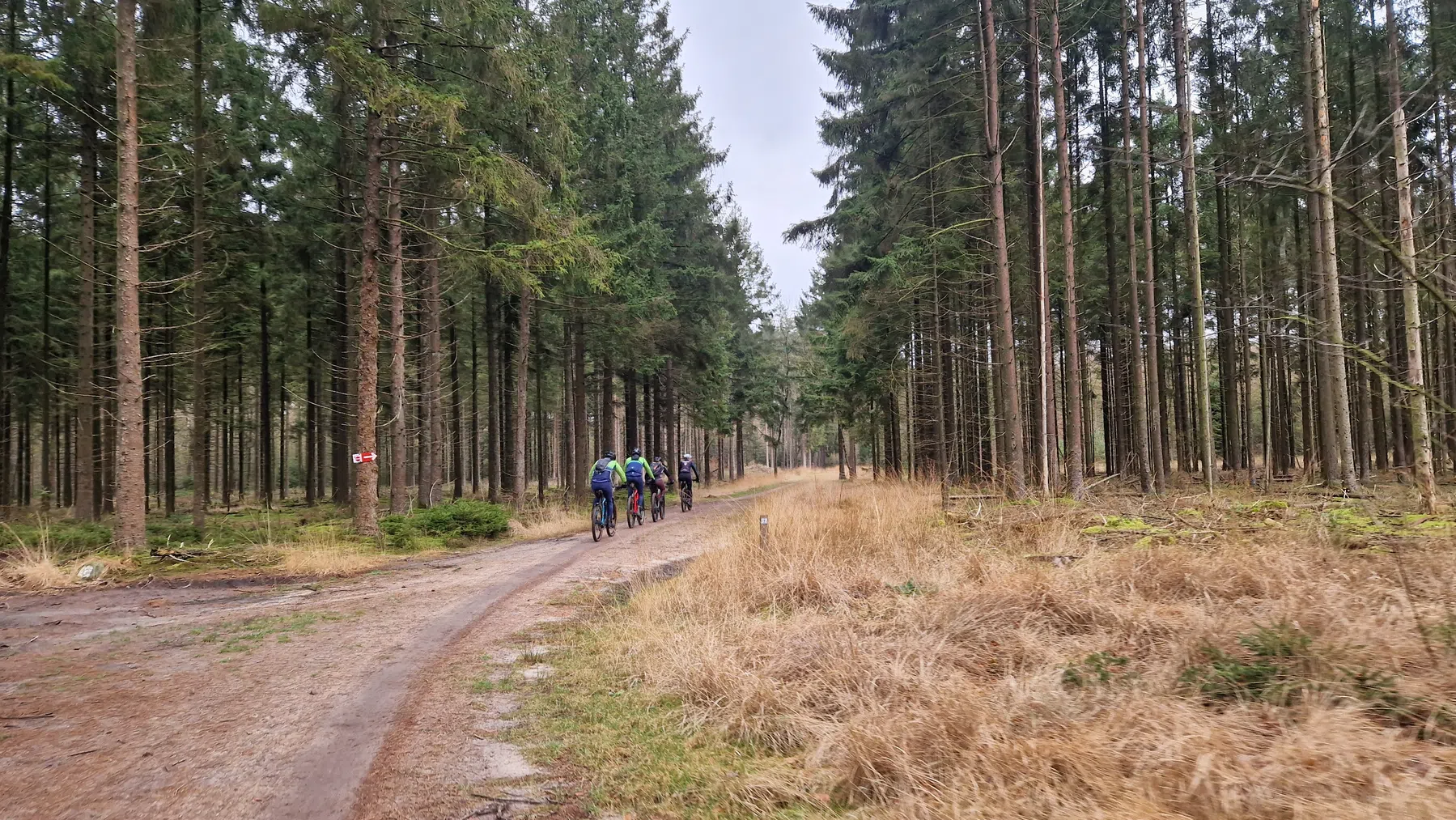Matthijs van den Broek