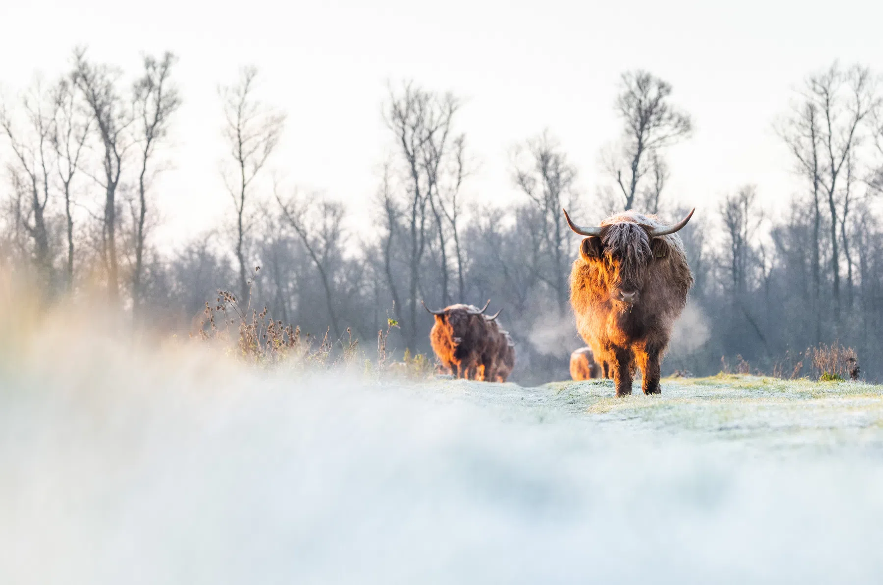 NL Beeld / Regiofotografie