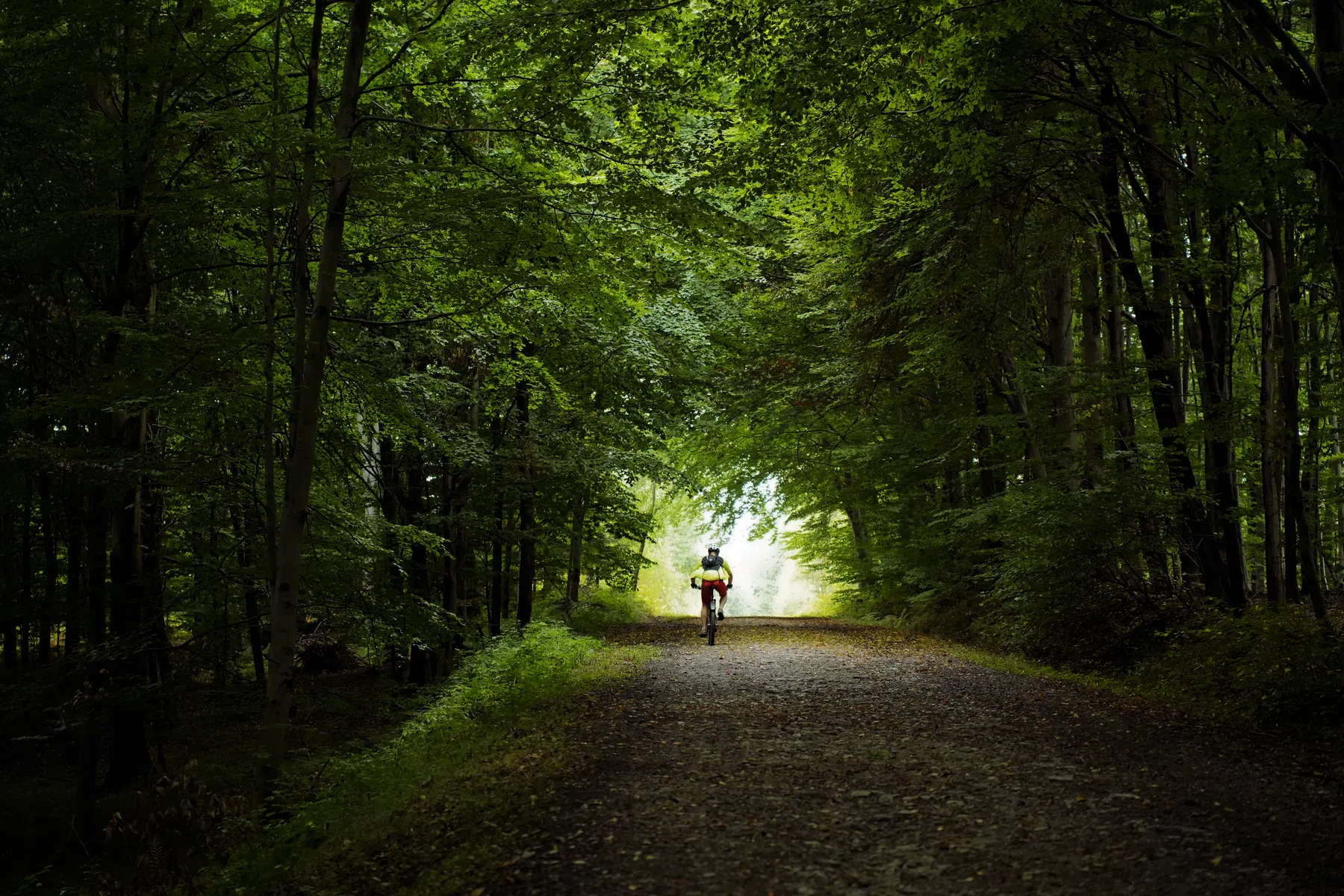 Ochtend of avond sporten? Dit is het beste moment voor jouw training