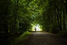 Thumbnail for article: Ochtend versus avond: wanneer trap je het beste?