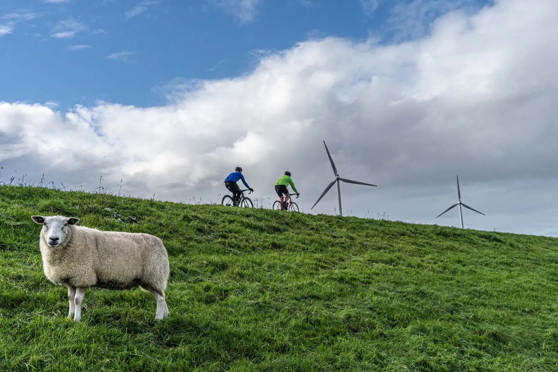 Wielersportbond NFTU