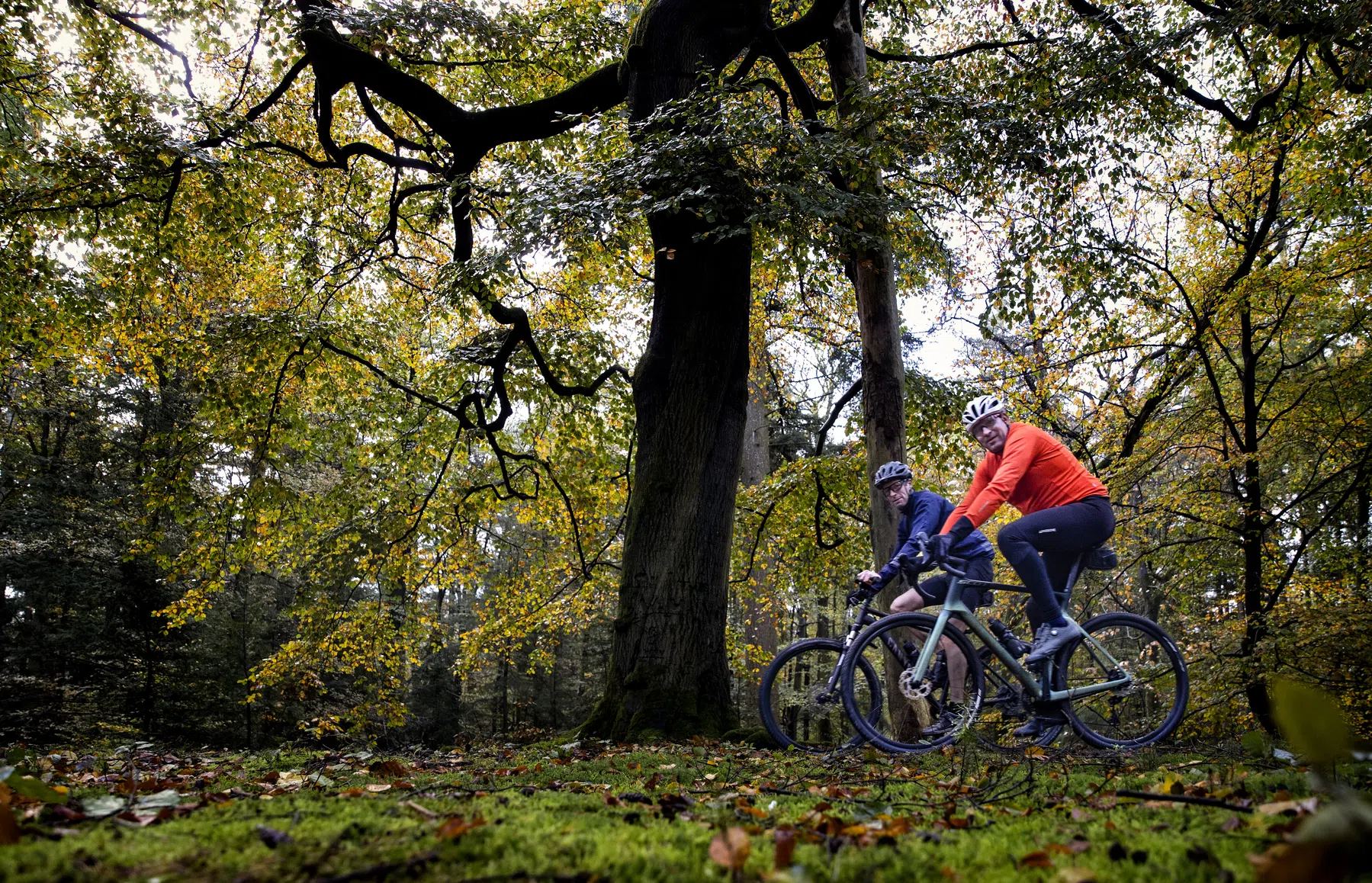NL Beeld / DCI Media