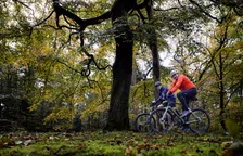 Thumbnail for article: Deze 10 producten zijn onmisbaar voor fietsers