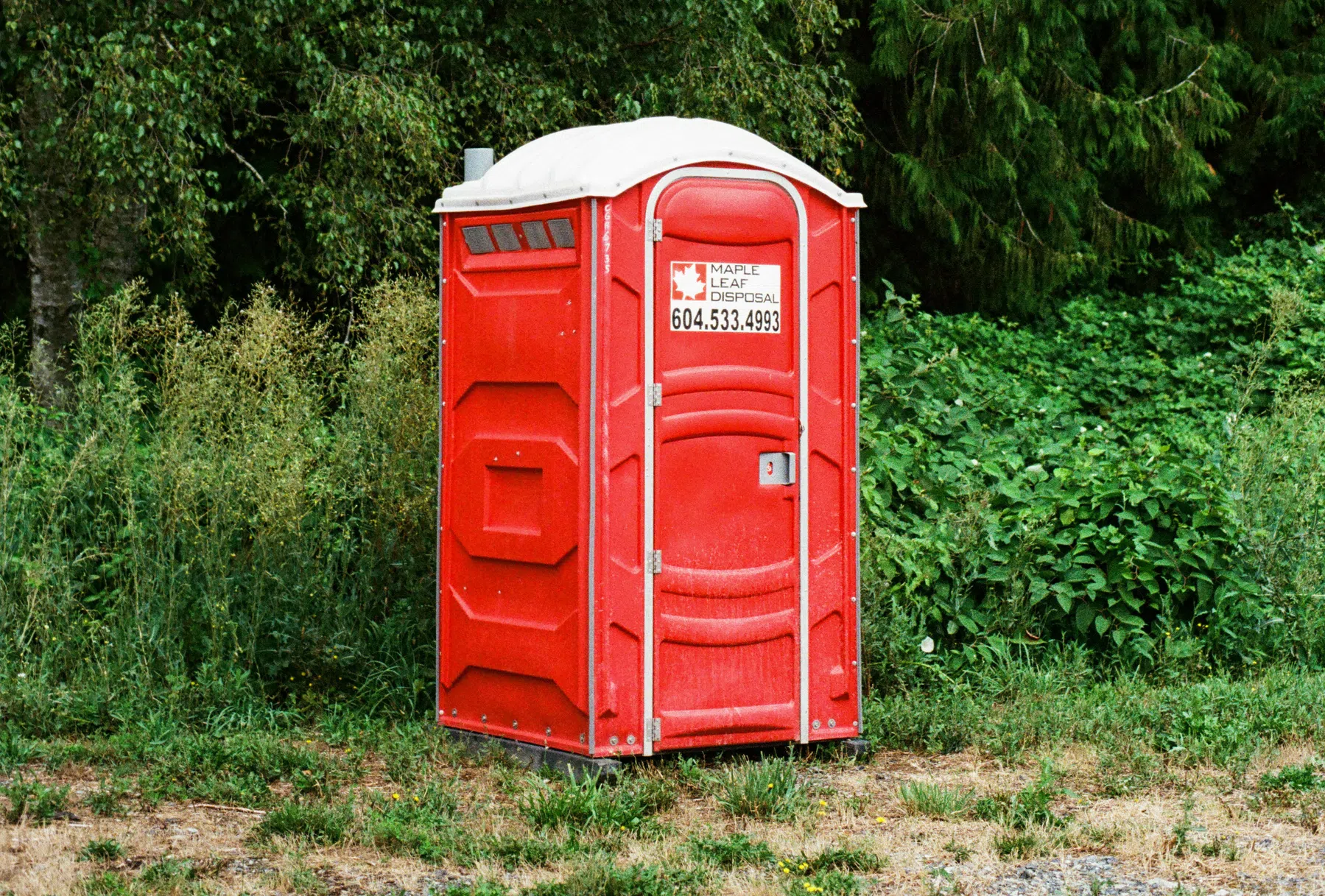 Ardalan Hamedani / Unsplash