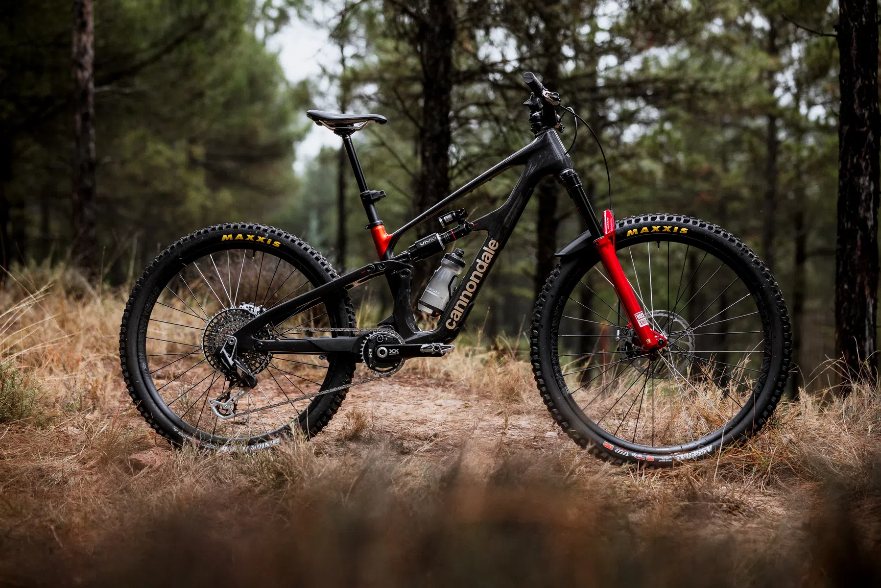 Cannondale 