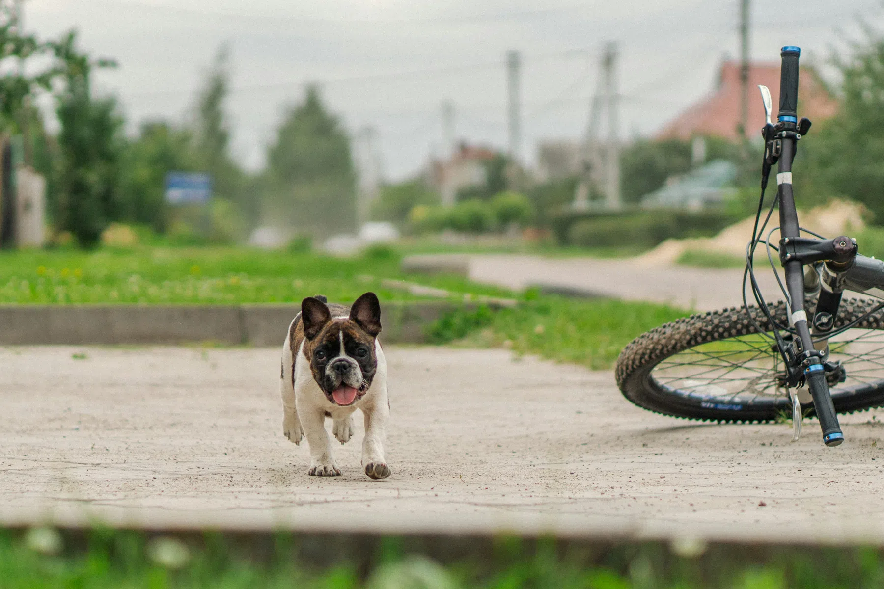 Photo by Дмитрий Рощупкин on Unsplash