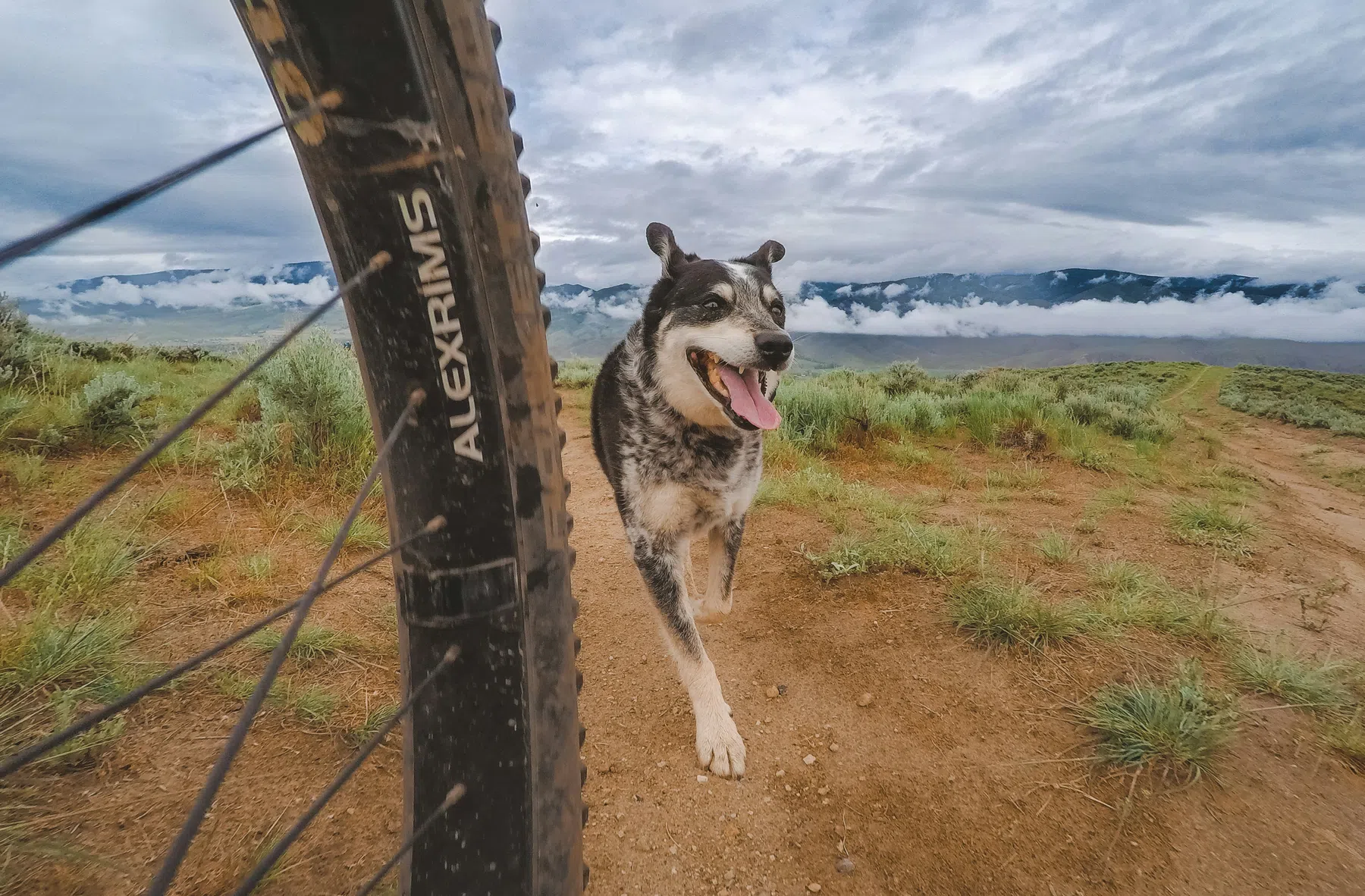 Photo by Patrick Hendry on Unsplash