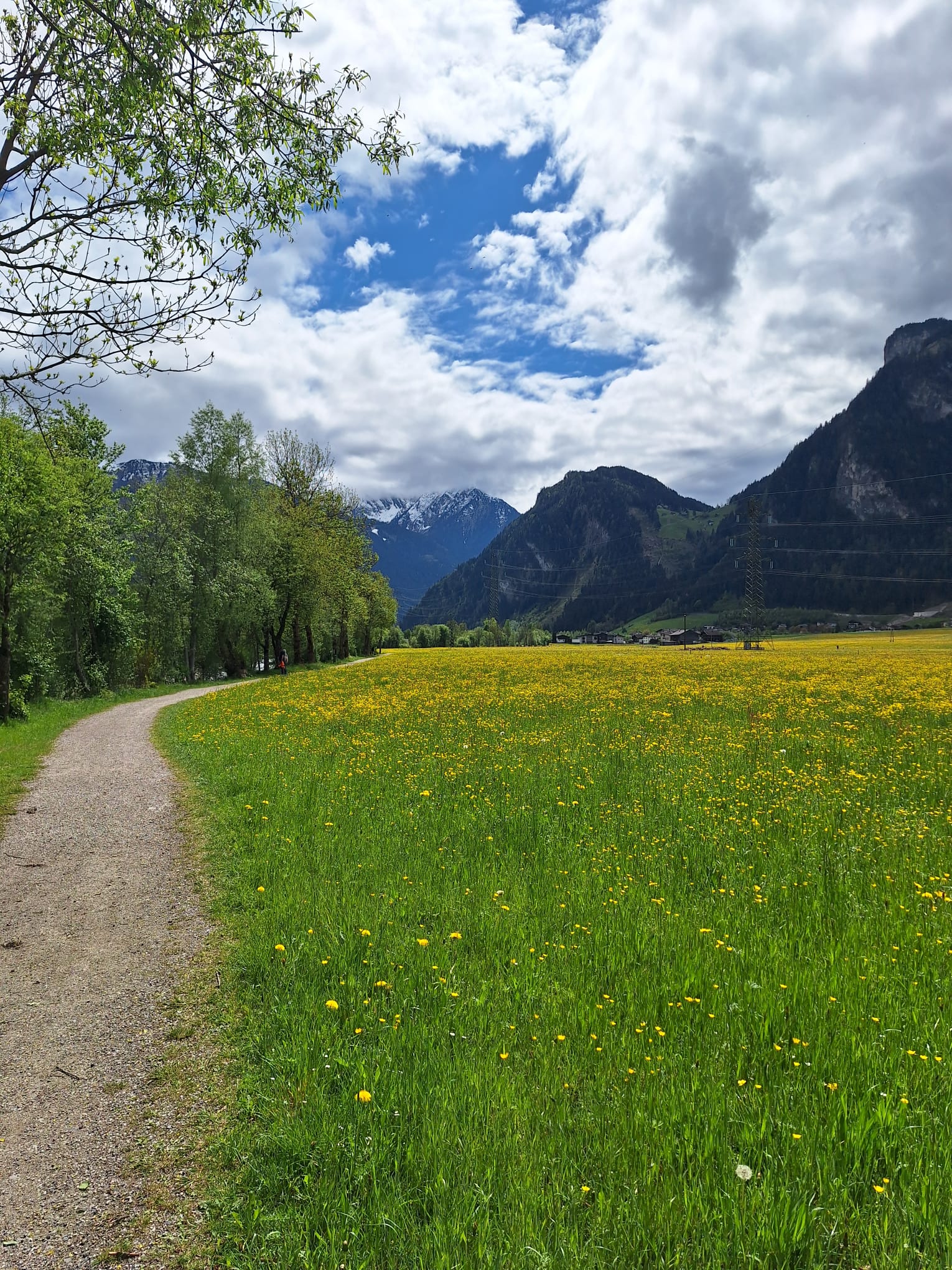 Zillertal Radweg: fietsen in het Zillertal