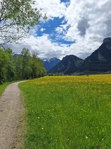 Thumbnail for article: Fietsen in het Zillertal #1 | De Zillertal Radweg