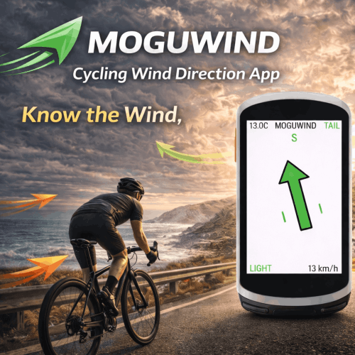 Garmin