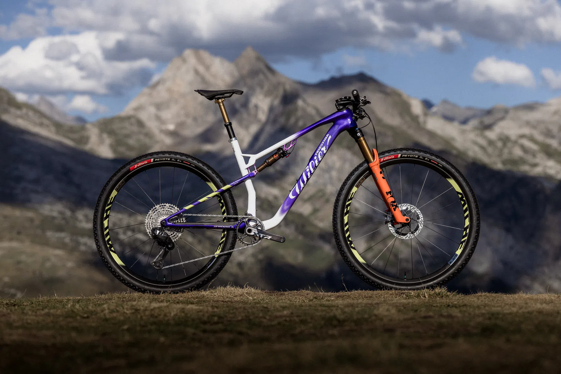 Wilier