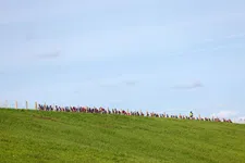 Thumbnail for article: WK wielrennen in 2034 naar Groningen en Drenthe