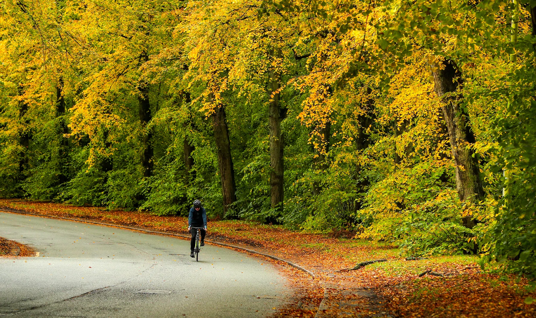Oktober de eerlijkste maand van het wielerjaar